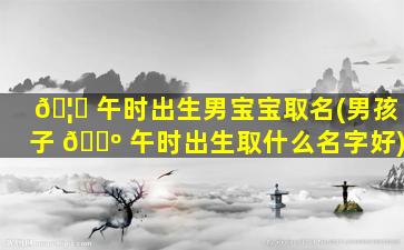 🦁 午时出生男宝宝取名(男孩子 🌺 午时出生取什么名字好)